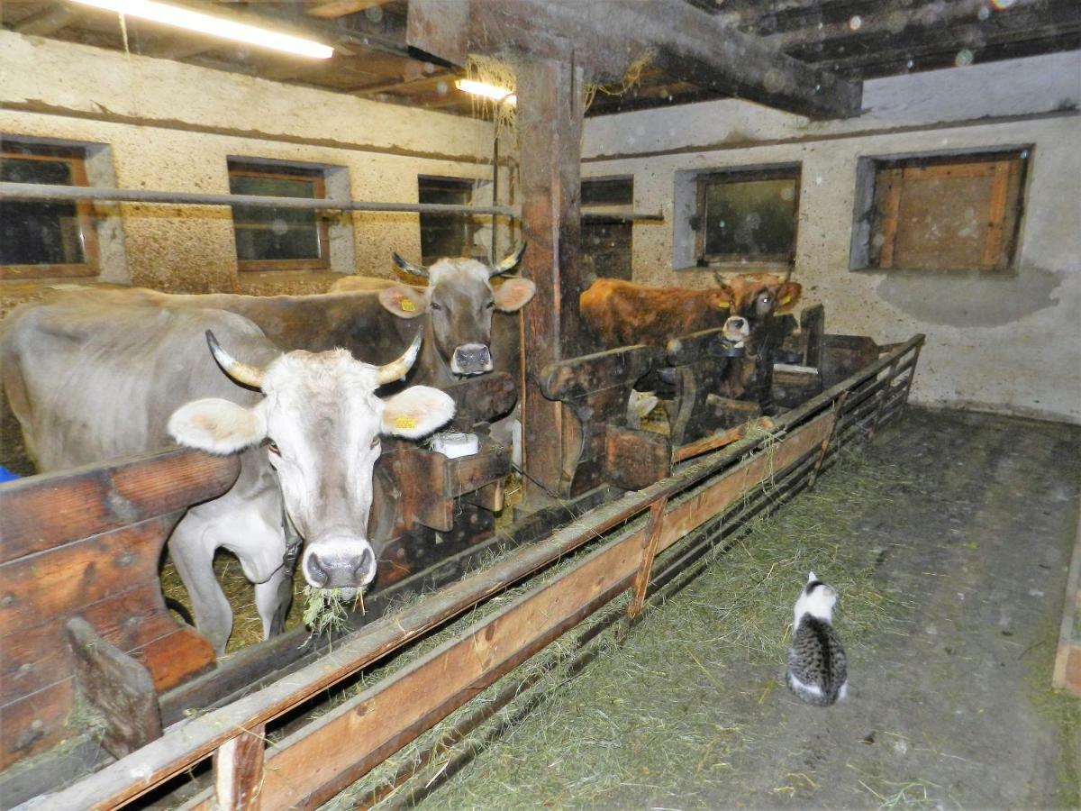 Gedrarzerhof Lägenhet Luson Exteriör bild